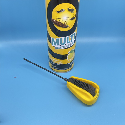 الاسم