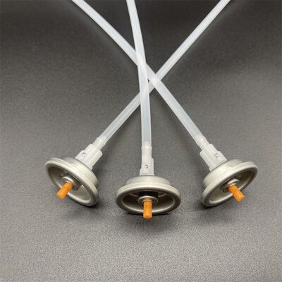الاسم
