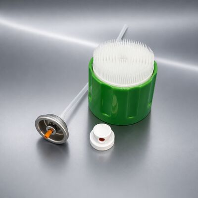 الاسم